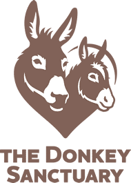 Donkey-logo